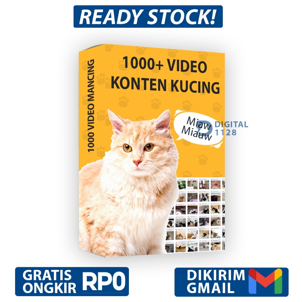 1000+ VIDEO KONTEN KUCING  VIRAL FYP SIAP UPLOAD MEDSOS AUTO FYP