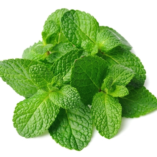 

TFA Spearmint Flavor 30ml