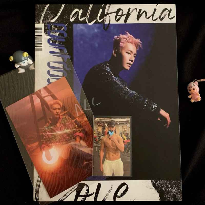 D&E Album Only Super Junior Donghae Photobook Countdown California Love