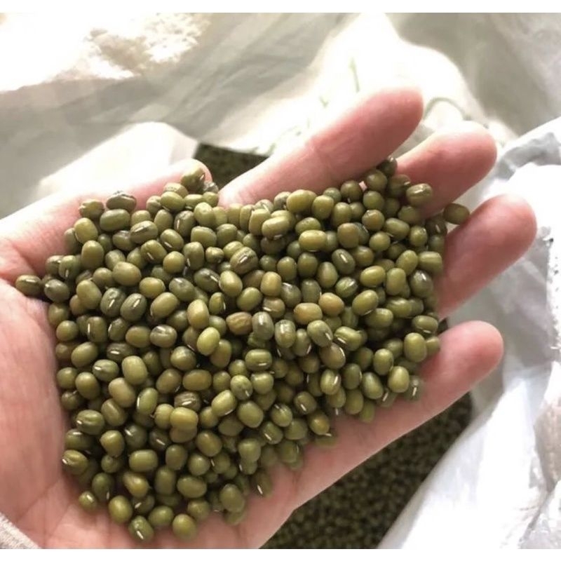 

(COD) KACANG IJO BUBUR PREMIUM