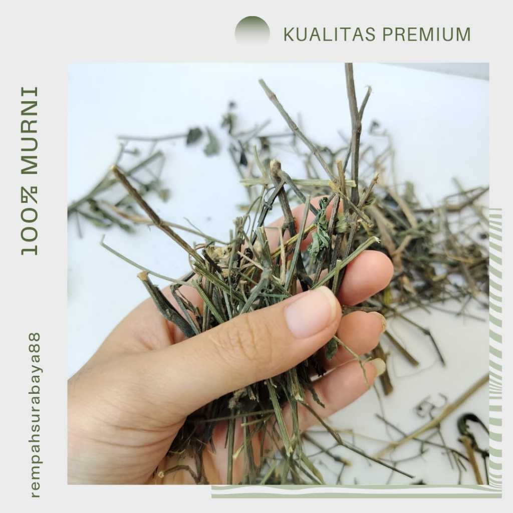 

TEH SAMBILOTO KEMASAN 100gr TEH SEHAT PREMIUM