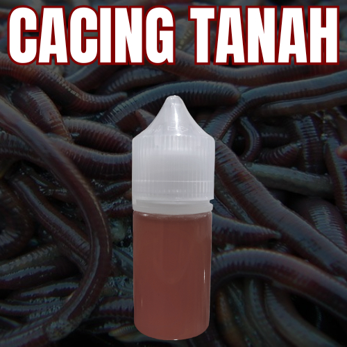 ESSEN BIANG REBELLION AROMA CACING TANAH untuk umpan ikan