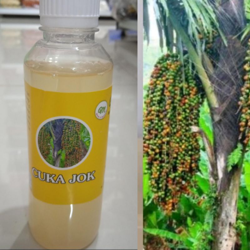 

Cuka Aceh | Cuka Jok | Cuka Aren Nira 250 ml