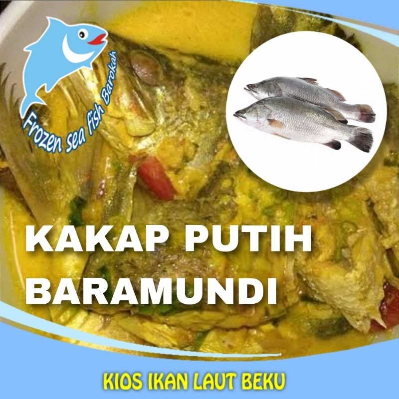 

KAKAP PUTIH BARAMUNDI