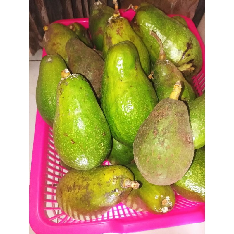 

alpukat 1kg isi 2