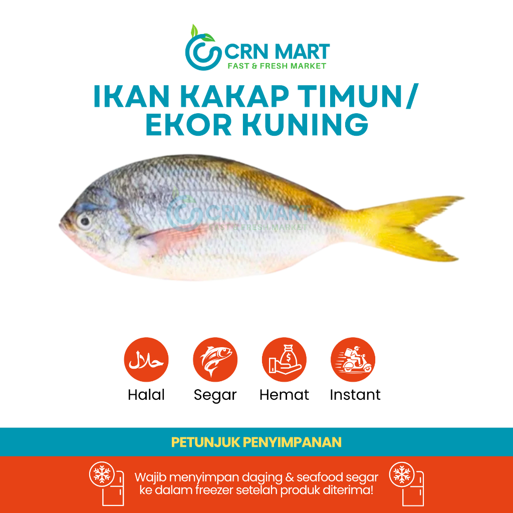 

CRN MART - Ikan Kakap Timun Segar/Seafood Segar/Ikan Ekor Kuning Fresh