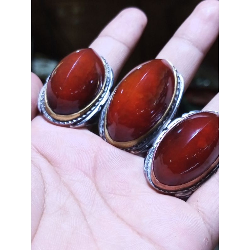 Pandan Merah Jamblang