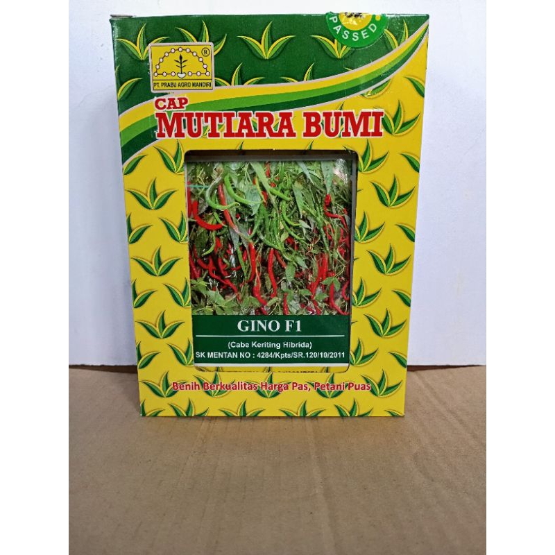 cabe ginof1 dari mutiara bumi