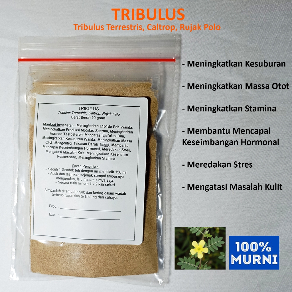 

TRIBULUS Seduh Serbuk Bubuk Meningkatkan Kesuburan Massa Otot Stamina