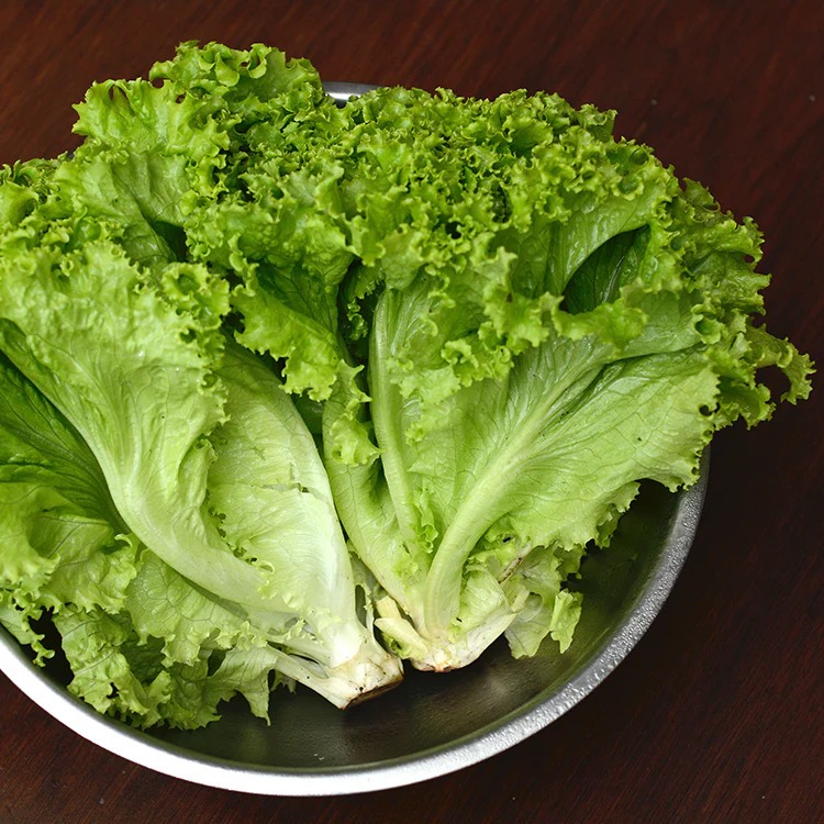 

SELADA Kriting FRESH 250gr Kirim INSTAN