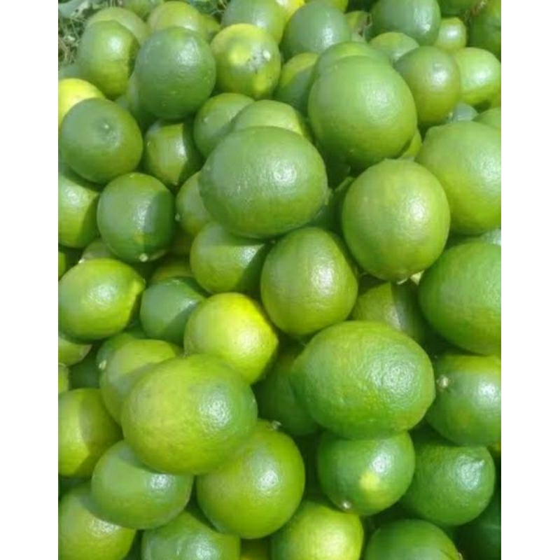 

lemon california