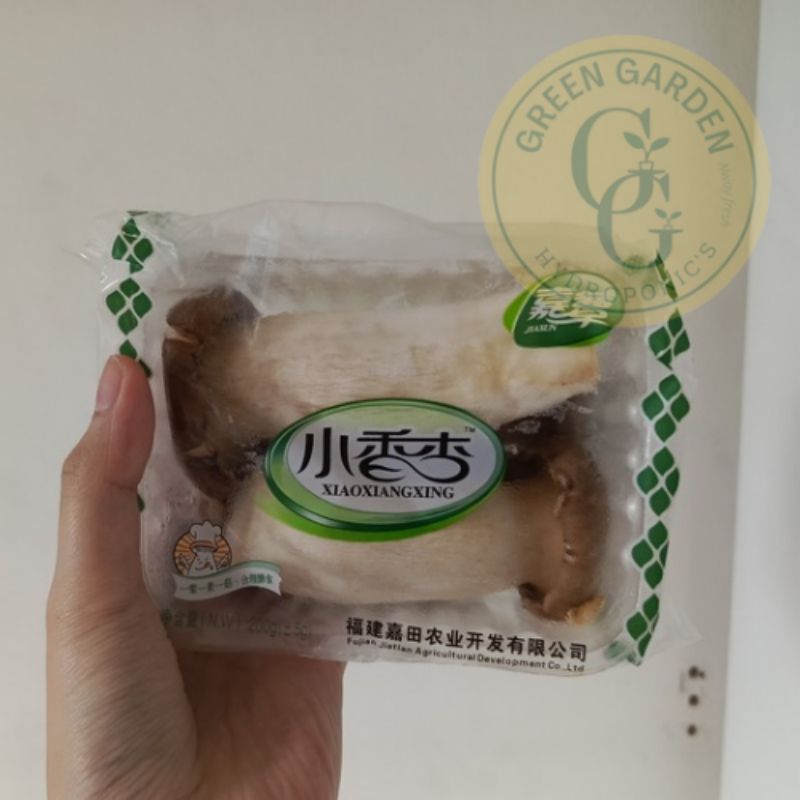 

King Oyster 1 pack | tanya stock terlebih dahulu | Green Garden | hammysnotes