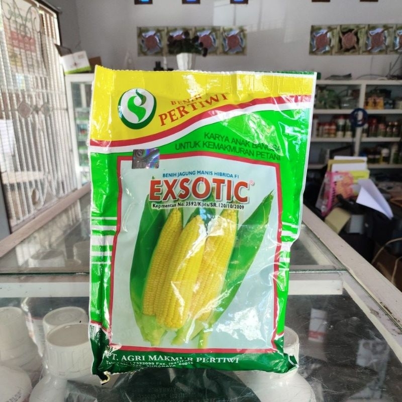 JAGUNG MANIS EXSOTIC