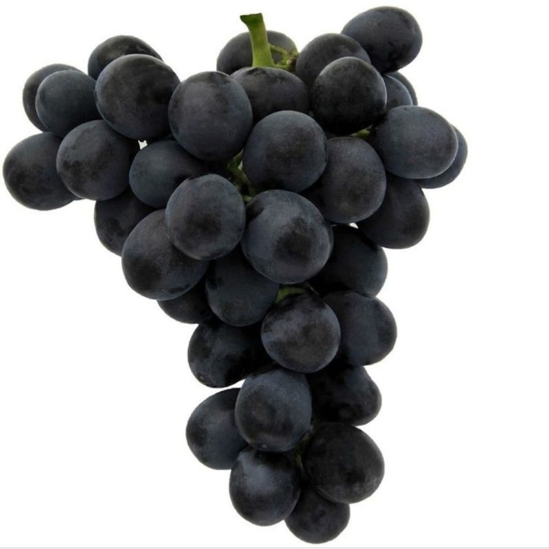 

Anggur Hitam