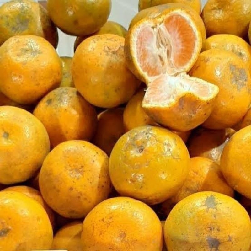 

jeruk medan brastagi manis 1kg