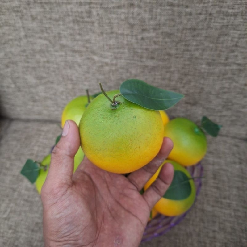 jeruk hias jeruk orange hiasan jeruk pajangan jus jeruk keprok jeruk hijau kuning orange juice jeruk
