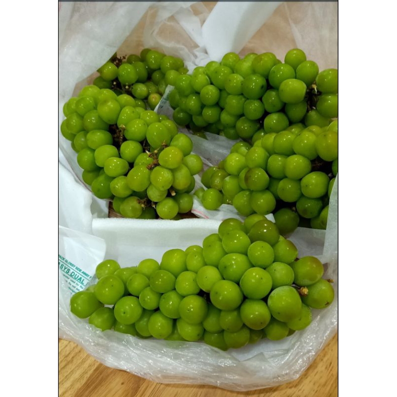 

Anggur Shine Muscat, Manis dan Non biji