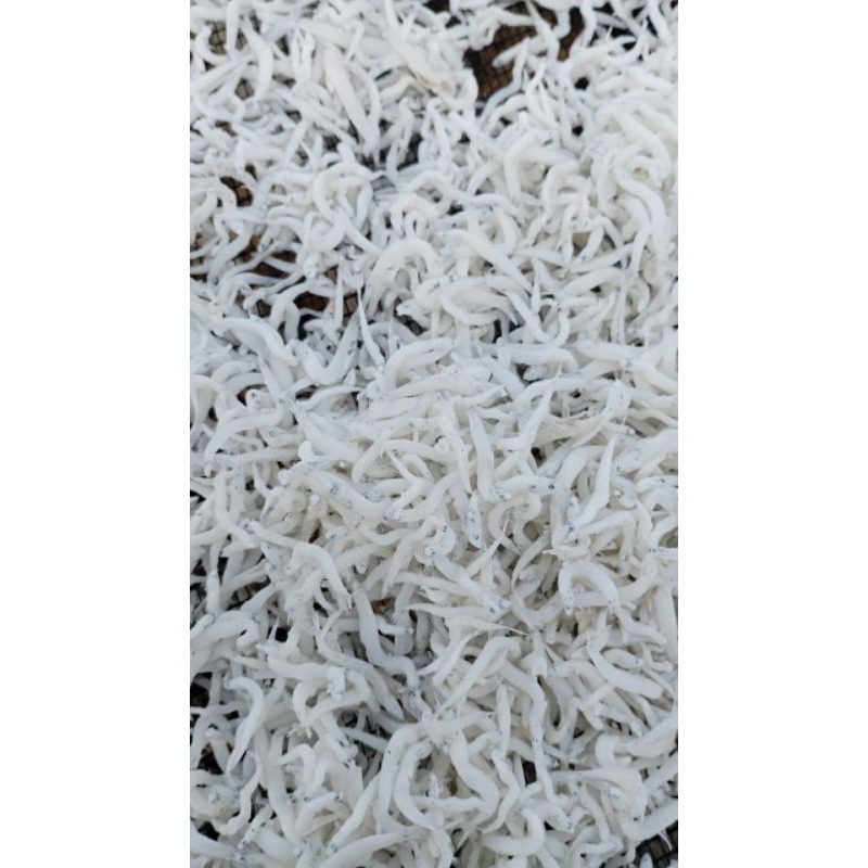 

teri medan toge super