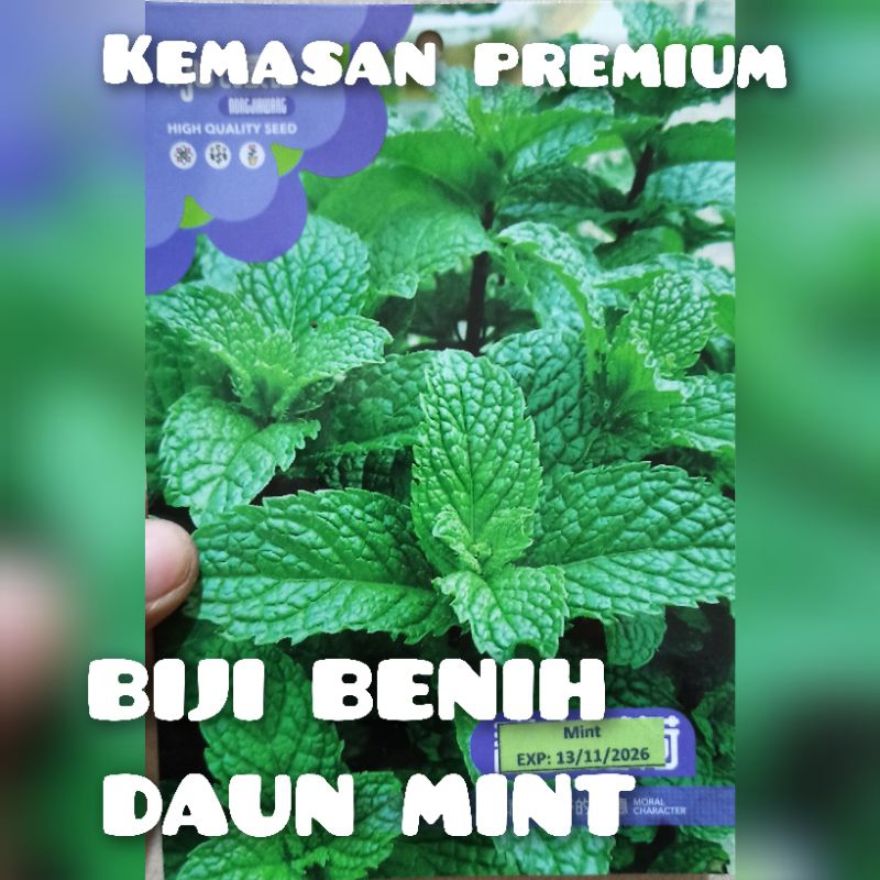 kemasan premium biji benih daun mint impor