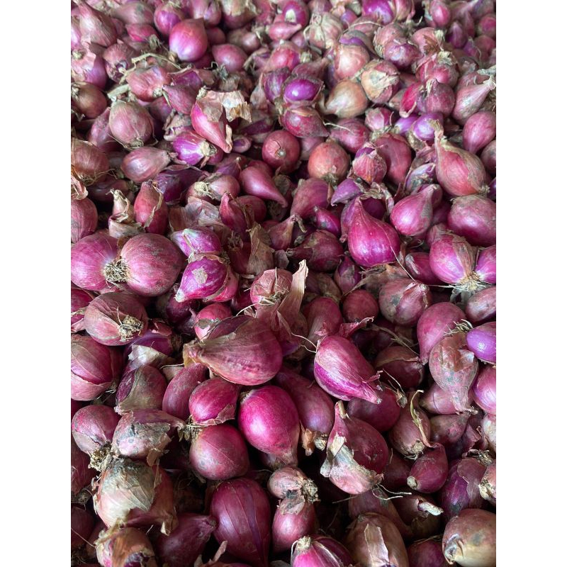 

Bawang Merah Lokal 1 kg