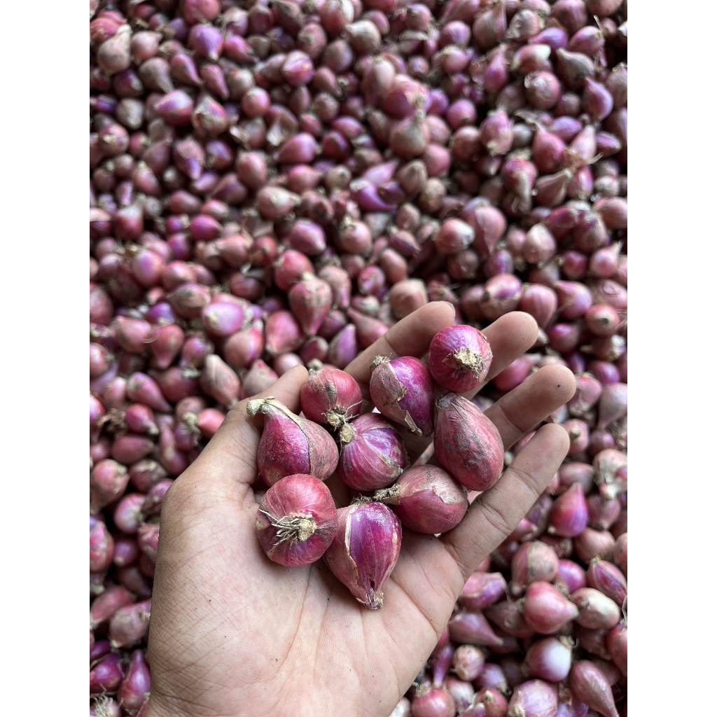 

bawang merah segar 500g,Siap Kirim