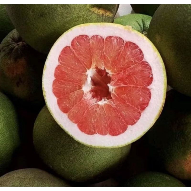 

jeruk pamelo madu 800g-900g