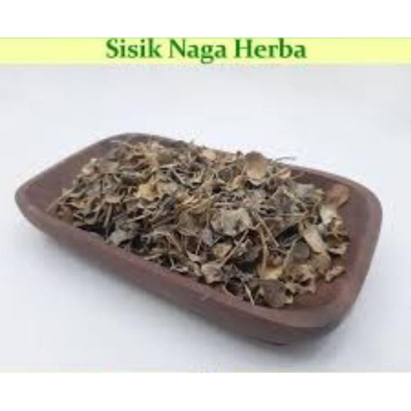 

Sisik Naga Kering 120 Gram Obat Herbal Tradisional Murah Asli