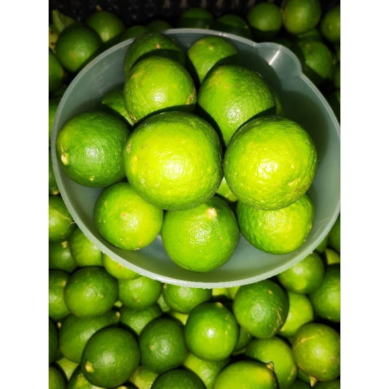 

jeruk nipis 2kg jeruk nipis murah jeruk soto