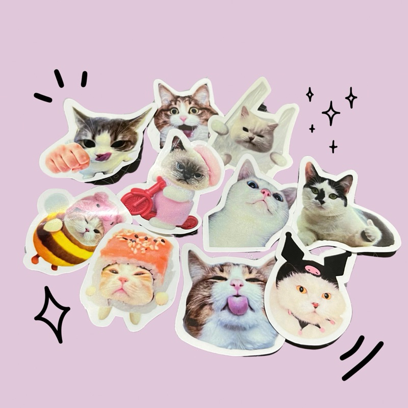 

HWL STUDIO - Sticker Meme Cat - Stiker Kucing Lucu