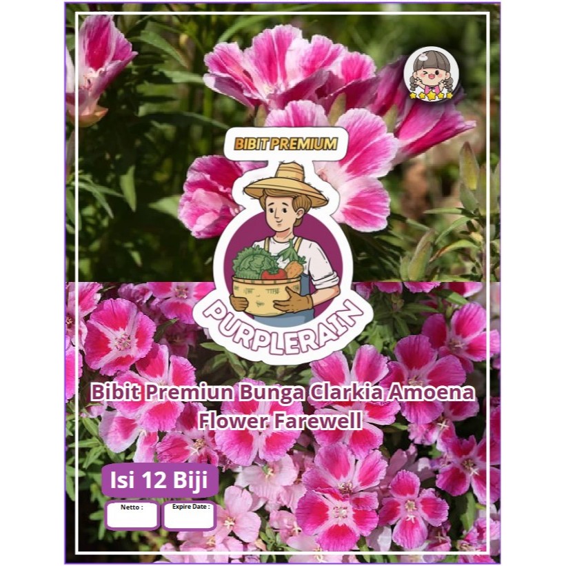 Bibit Premium Clarkia Amoena Flower Farewell | Benih Bunga Farewell