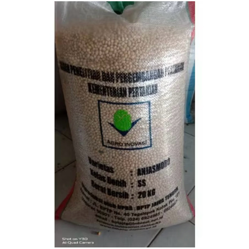 GROSIIR 1KG BENIH KACANG KEDELAI VARIETAS ANJASMORO
