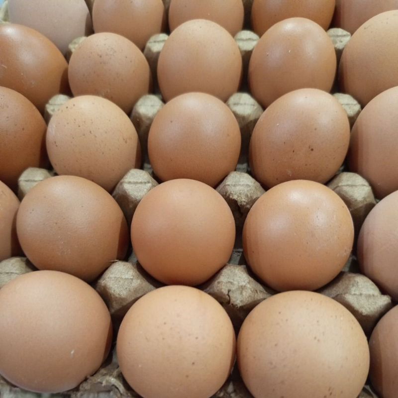 

15 butir telur ayam negeri (instant only ya)