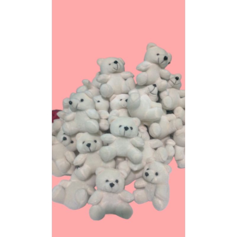 Boneka Beruang Kecil Boneka Teddy Bear Kecil Boneka Wisuda Mini ukuran 12 cm harga grosir