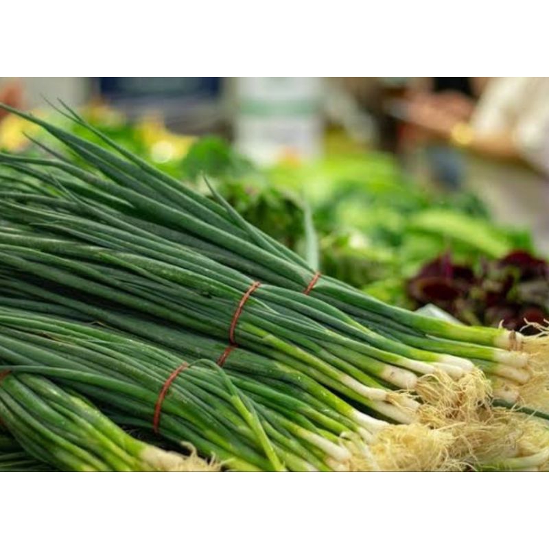 

Daun Bawang Kecil / Bawang lumpia 1 ikat KIRIM INSTAN