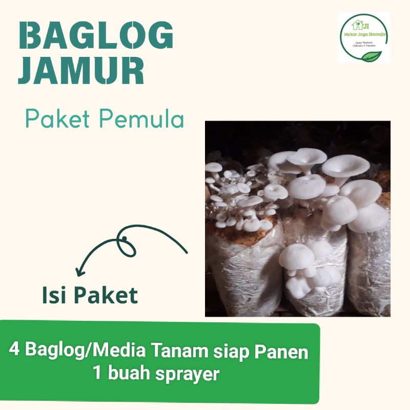 

Baglog Jamur Bibit Jamur Media tanam jamur tiram putih siap panen full misselium Paket pemula