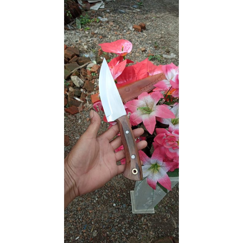 pisau seset untuk kulit kambing