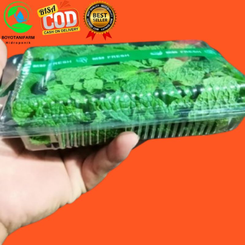 daun mint kemasan 250 gram- 1kg