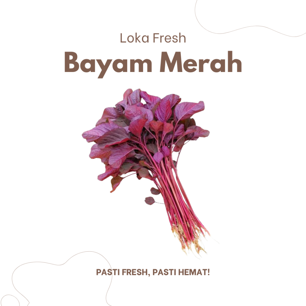 

Bayam Merah Organik 250gram - Loka Fresh