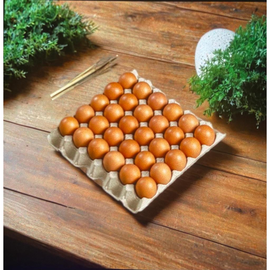 

TELUR OMEGA SUPER usia 3hari | kualitas telur tetap SUPER GRADE AA