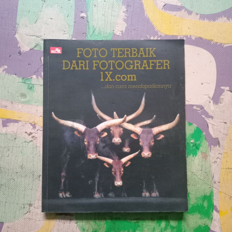 

BUKU FOTO TERBAIK DARI FOTOGRAPHER 1X.com