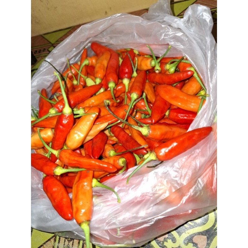 

Cabai rawit ori 1/2 kg