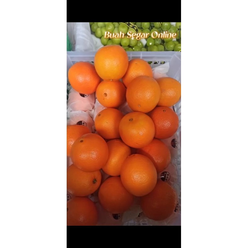 

Jeruk Sunkis - 1kg