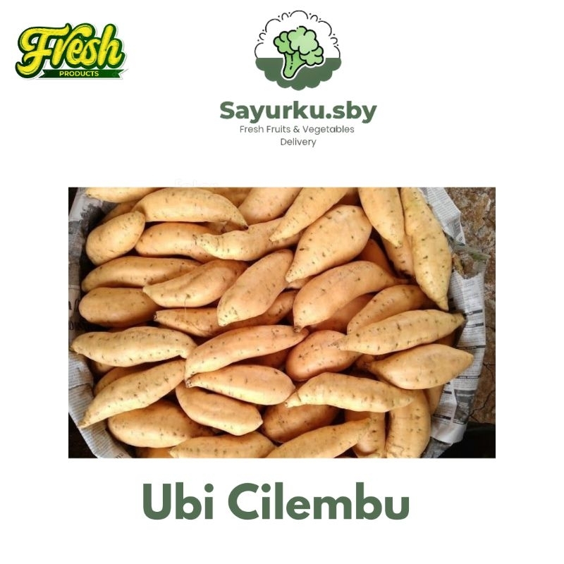 

Sayurku.Sby (bisa kirim instan) Ubi madu Cilembu Premium