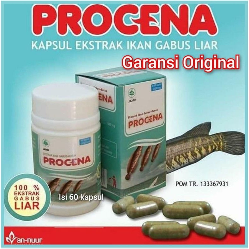Kapsul ikan Gabus / Kapsul Procena Asli Original Garansi / Kapsul ikan Kutuk