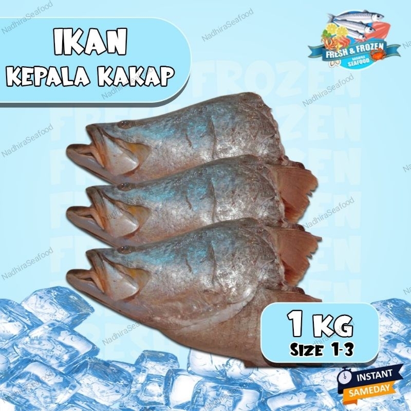 

Kepala Kakap 1kg isi 1-3 bekas filletan fresh & frozen