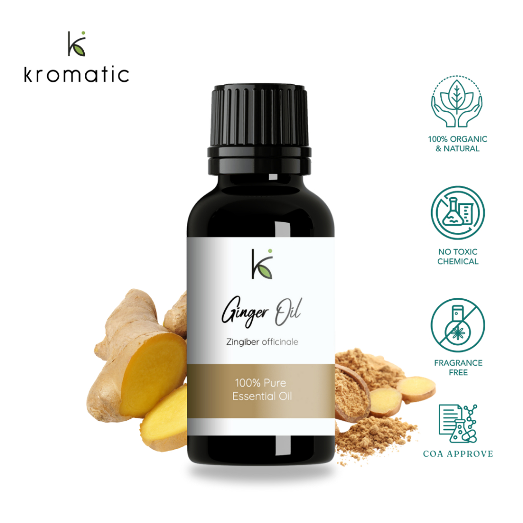 Kromatic Ginger Essential Oil 30ml - Minyak Jahe Murni Aromaterapi