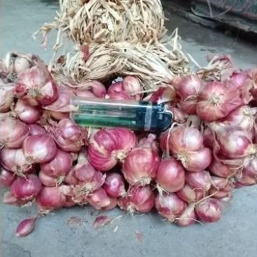 

Bawang Merah Murah Nganjuk