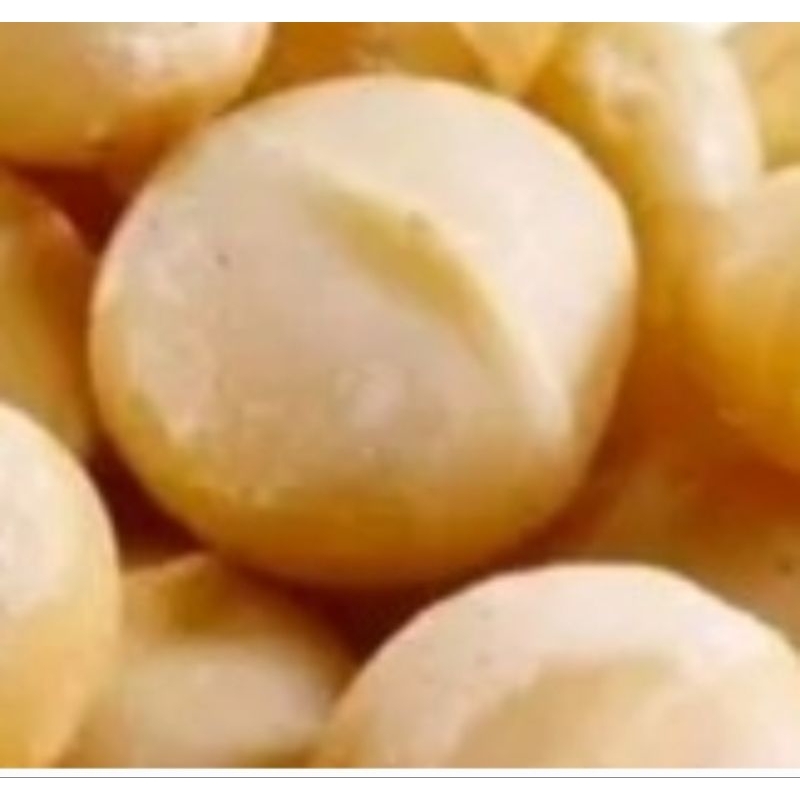 

Kacang Macadamia Raw Kemasan 500gram
