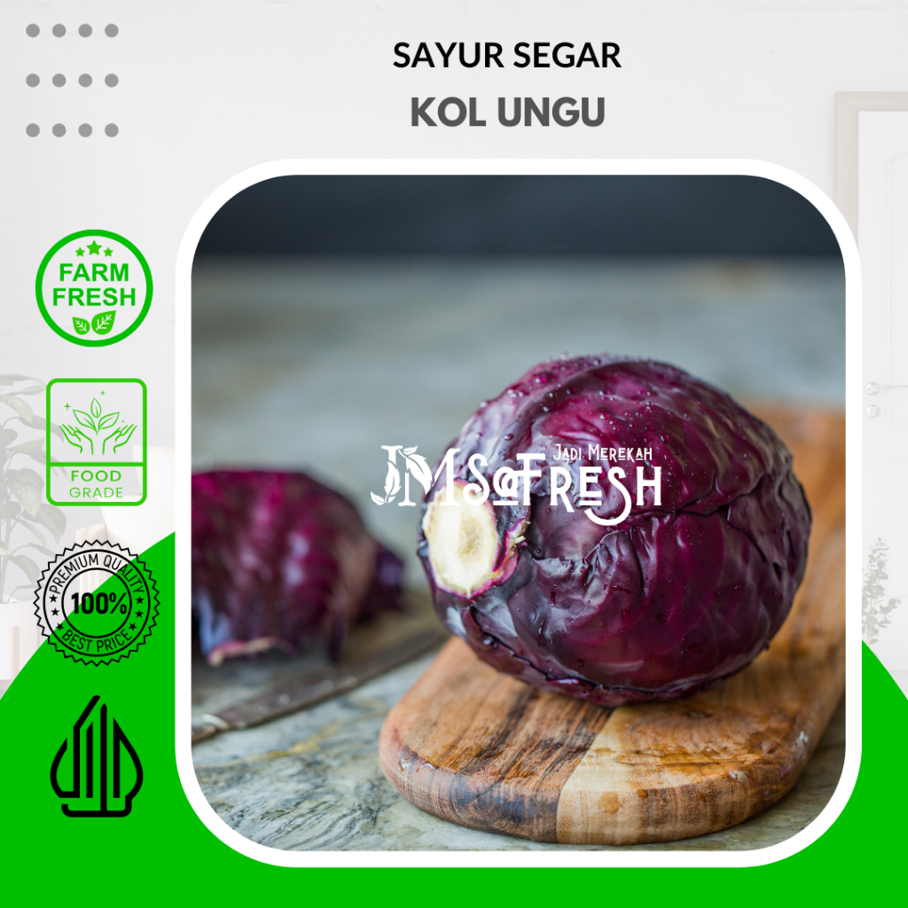 

[JM_SoFresh] Kol Ungu / Kubis Ungu