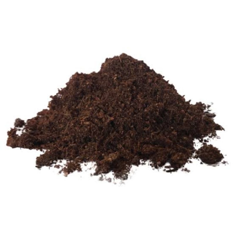 Media tanam siap pakai (cocopeat,sekam,tanah)